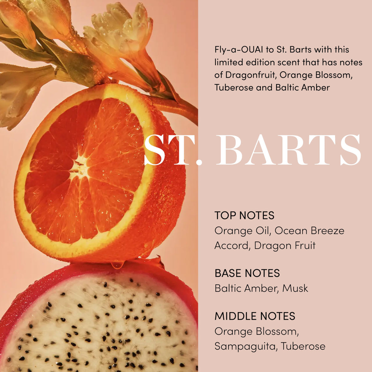 OUAI Body Cream - Hydrating Whipped Body Cream - St. Barts (7.5 oz)